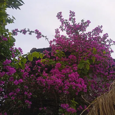 Yolo Szálloda Muğla