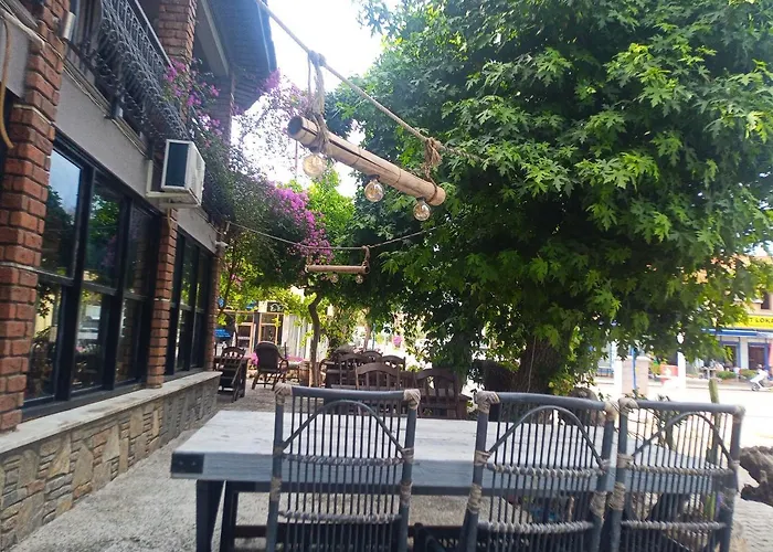 Yolo * Muğla