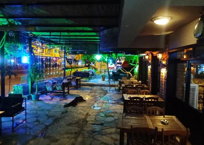 Yolo Muğla